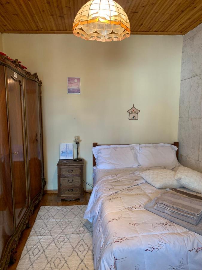 Athena's House Prázdninový dům Eleonas