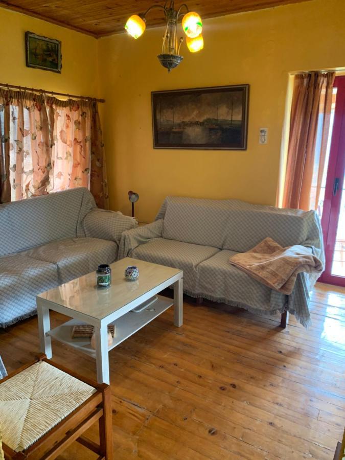 Athena's House Prázdninový dům Eleonas